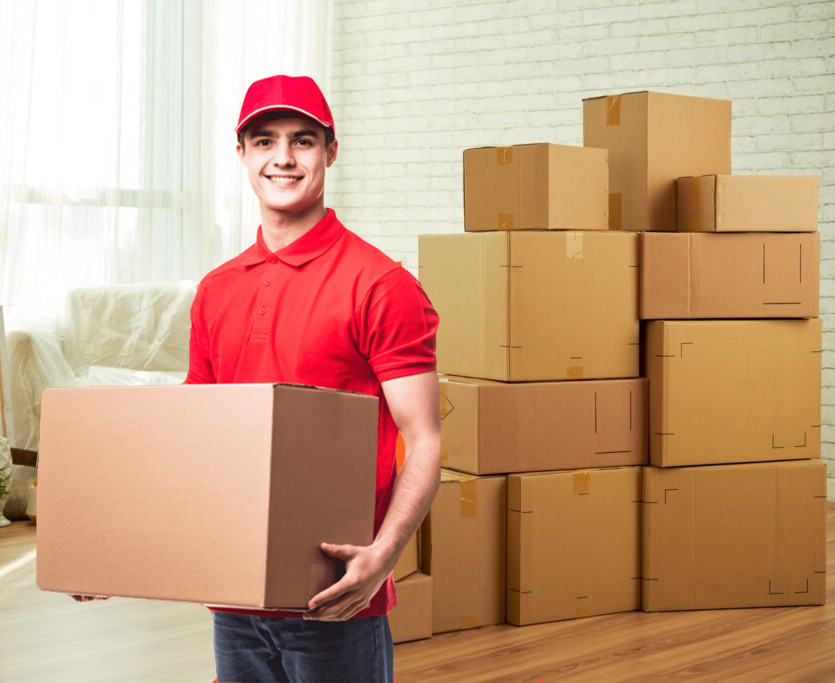 movers packers